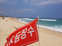 수영 금지에도 물놀이·송림서 취사 무법 천지된 해수욕장