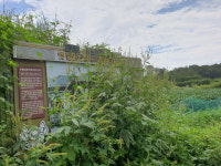 [DMZ 사라진 마을을 찾아서] 6. 분단과 전쟁으로 얼룩진 철원읍
