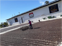 [김명섭교수의 커피이야기] 39. 커피 잔 속의 God