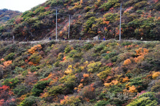 [화보] 진부령에서 향로봉까지 백두대간 평화 트레킹 대회