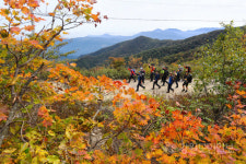[화보] 진부령에서 향로봉까지 백두대간 평화 트레킹 대회