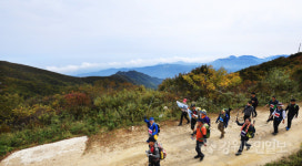 [화보] 진부령에서 향로봉까지 백두대간 평화 트레킹 대회
