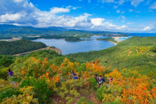 [고성]DMZ 고성갈래길 전국걷기대회