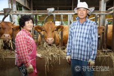 [양양]양양군 전국 한우능력평가대회서 국무총리상 수상
