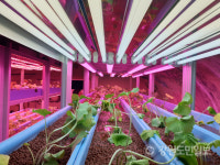 강원도농업기술원 폐광 유휴자원 활용한 강원도형 스마트팜 구축