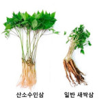 [창업 톡톡 스토리]53. 홍천 오투존