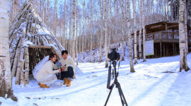 [인제]인제 원대리 자작나무숲 겨울 감성 매료
