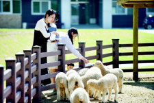 이색동물 400마리와 자연 속 ‘힐링 캠프’