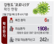 [코로나19 함께 극복합시다] “마스크 500만장 푼다더니 또 허탕” 도민 분통