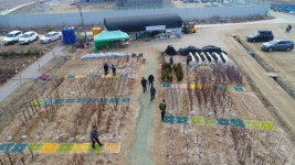 [화천]화천군산림조합 나무전시판매장 내일 개장