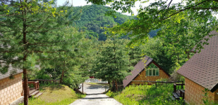 봄볕 아래 맑은 숨 쉬는 숲과 나만의 시간
