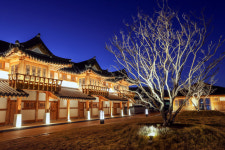 화마가 휩쓴 대지 바다가 식혀주니 다시 동트는 동해