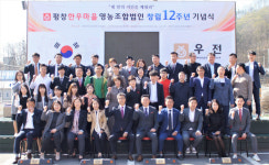 [원주]봉화산 평창한우마을 12주년 할인·경품 행사