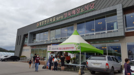 평창한우마을 강원 산나물 팔아주기 행사 개최