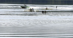 시원한 물살 가르며 ‘여름의 문턱으로’