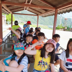 [화천]한 촉 한 촉…  추억 키우는 신록의 정취