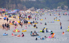 [삼척]코로나로 삼척 여름 특수 실종 우려