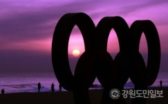 [강릉]강릉 해변 불법취사·야영 극성 송림보호 강화