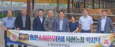 [홍천]홍천에서 도내최고 슈퍼한우 탄생
