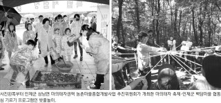 도, 주민소득·일자리창출 엄지척 명품마을 5곳 선정