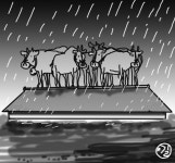 우생마사(牛生馬死)