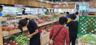 1개 3000원 넘는 애호박, 천정부지 솟구치는 채소가격