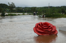 [삼척]삼척 폭우에 오십천 범람 공원·학교 침수