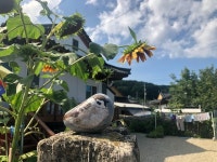 걸어서 속초 속으로
