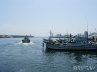 [속초]안전펜스 훼손된 장사항 방파제 낚시꾼 몰려 아찔