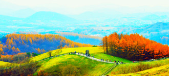 [화보] 렌즈가 닿는 곳마다… 강원의 깊어가는 가을은 작품이다