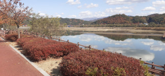 독서 따로 캠핑 따로? 가을 제철 인문학캠핑이 답