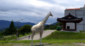 [화천]화천 월남파병용사 만남의 장, 스마트 동물원 변신