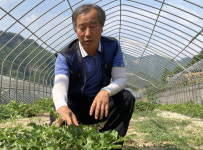 사람의 강이자 삶 자체인 동강은 옛 이야기, 물놀이도 겁나