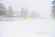 고성 진부령 흘리마을 설국 변신
