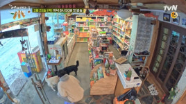 차태현·조인성 화천에 슈퍼 열었다… tvN 어쩌다 사장 25일 첫 방영