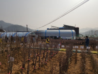 [화천]화천군산림조합 나무시장 묘목 230종 선보여