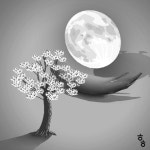 경포 백월(白月)