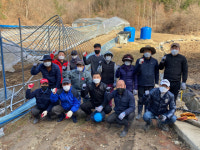 [평창]평창읍·용평면 사회단체 농가 폭설피해 복구 앞장