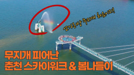 의암호 쏘가리상 앞 무지개 다리 활짝...춘천 소양강스카이워크 상춘객 북적