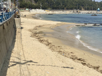 [동해]백사장 사라지는 동해 해변… 관광객 외면