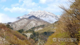 [인제]봄 속의 겨울 눈 쌓인 인제 북면 한계령 정상