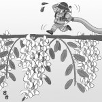 아카시아꽃 필 무렵
