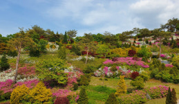 어느 길, 어느 계절에도 화려한 천상의 화원