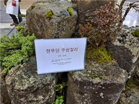 고성 운봉산 현무암 판매 금지 지침에도 "최저가로 팝니다"