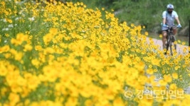 내일 강원도 아침부터 맑은 날씨…영동·산지 강풍주의