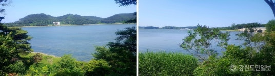 [고성방가] 꽃나루를 사랑한 사람들