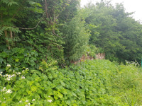 [강릉]강원도기념물 제79호 강릉 고려성 관리대책 시급