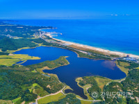 [고성방가] 송지호 재첩이 사라지고 있다