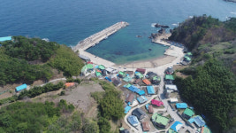 [삼척][채널 동태삼]낭만가득 낚싯배 삼척 노곡항으로 모여라