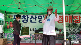[평창]평창 장평5일장 평화시장 지역명소 각광